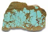 Polished Turquoise Slab - Number Mine, Carlin, NV #248340-1